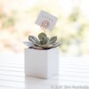 White 7cm planter with card holder (various designs)